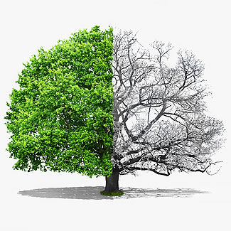 Cognition that something needs to change